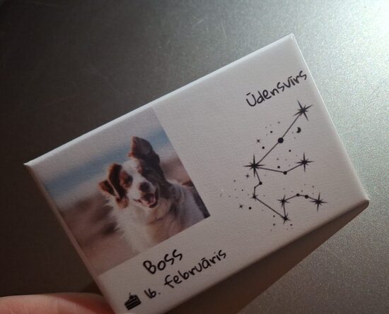 ✨🔮'Horoskops & datums' magnētiņš